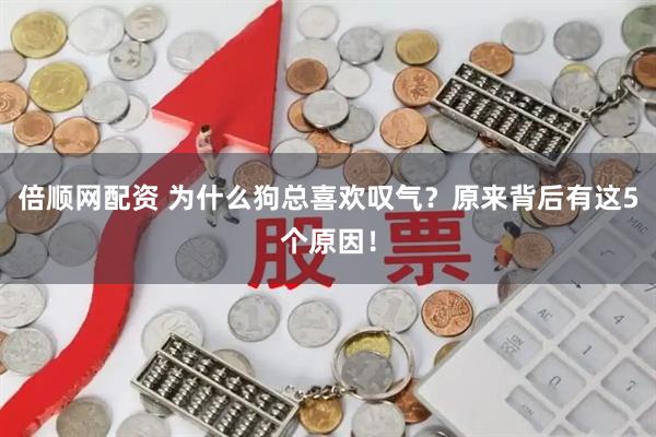 倍顺网配资 为什么狗总喜欢叹气？原来背后有这5个原因！