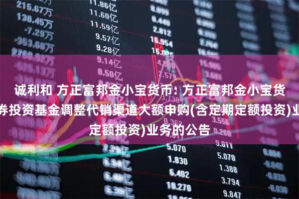 诚利和 方正富邦金小宝货币: 方正富邦金小宝货币市场证券投资基金调整代销渠道大额申购(含定期定额投资)业务的公告