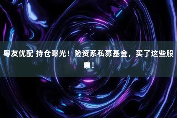 粤友优配 持仓曝光！险资系私募基金，买了这些股票！