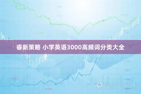 睿新策略 小学英语3000高频词分类大全