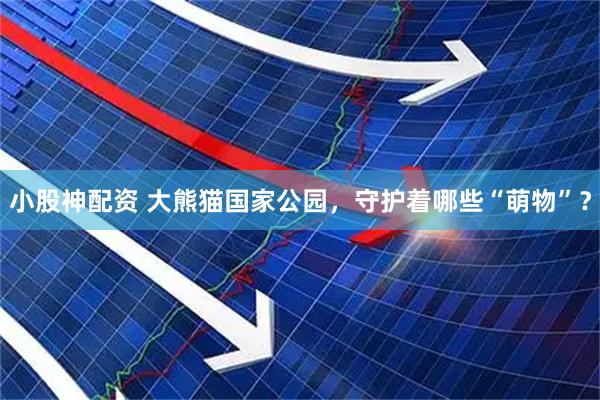 小股神配资 大熊猫国家公园，守护着哪些“萌物”？